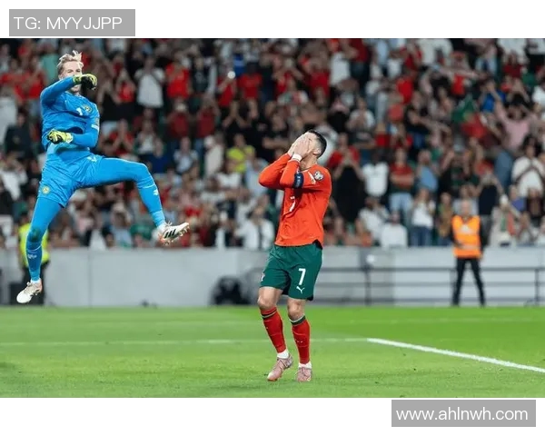 匈牙利与葡萄牙精彩对决集锦回顾足球盛宴不容错过